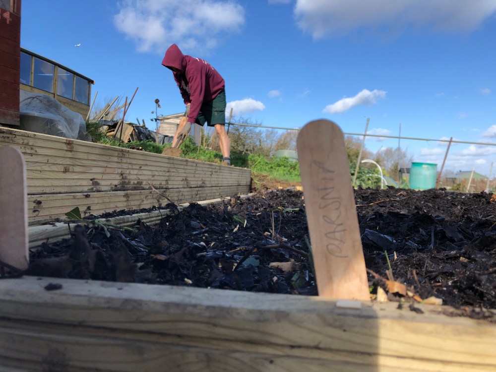Picture of a seed label in a raised bed, with a person (J) in the background digging