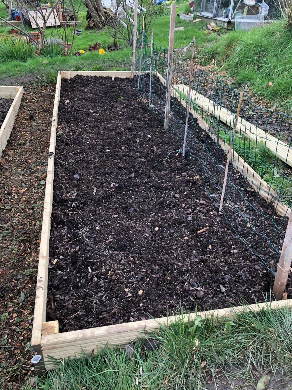 Picture of a raised allotment bed
