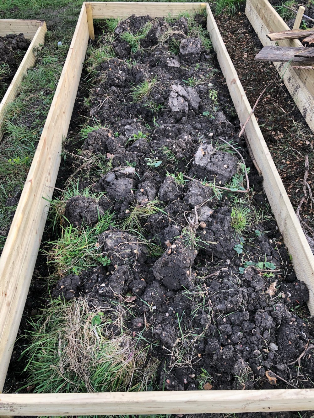 Picture of a raised bed, very roughly dug and with lots of couch grass clumps