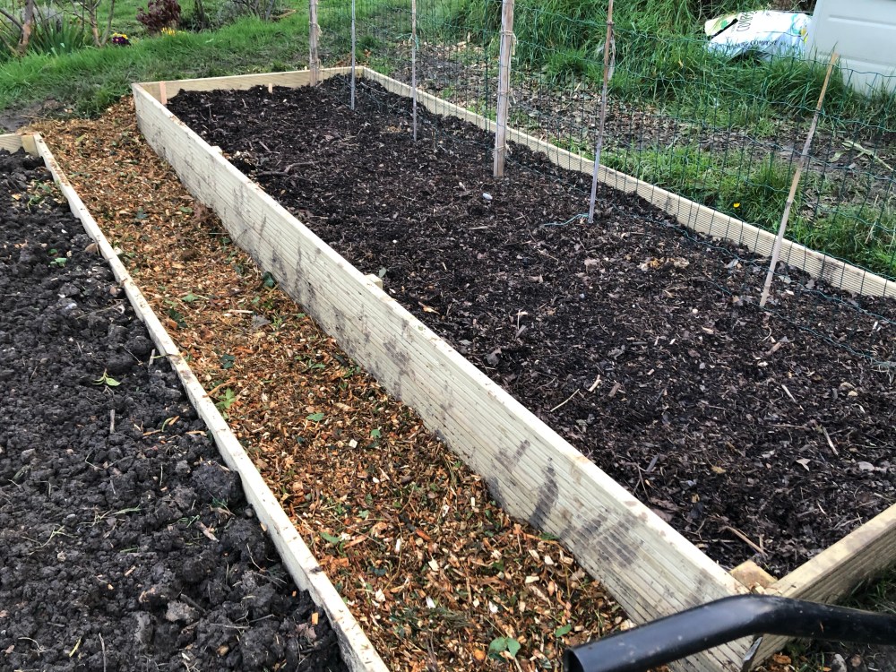 A picture of 2 raised allotment beds, with a woodchip path between them