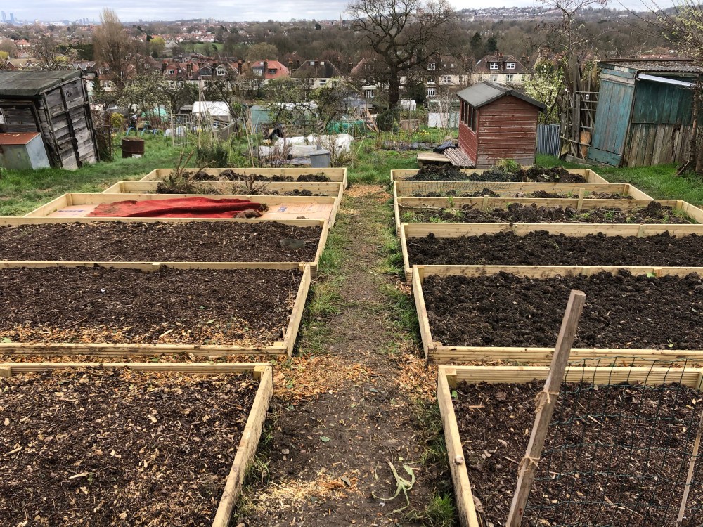 Picture of an allotment plot with 12 raised beds