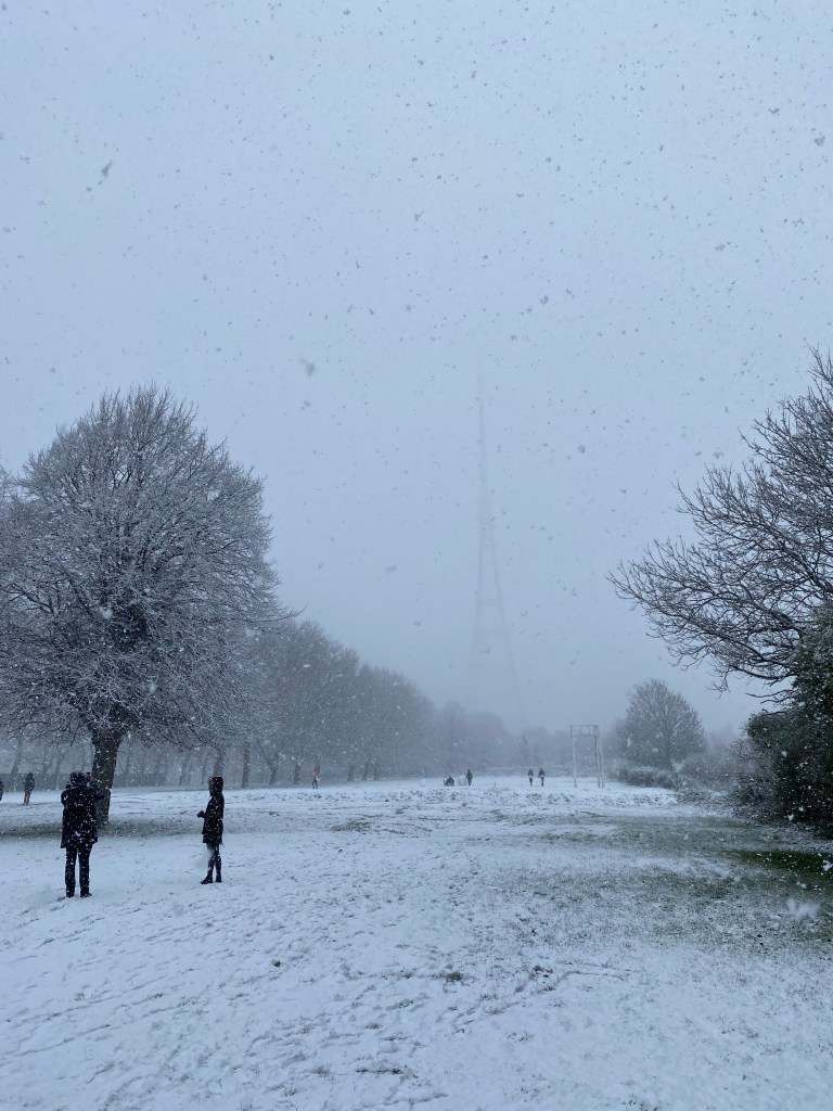 PIcture of a park covered in snow
